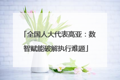 全国人大代表高亚：数智赋能破解执行难题