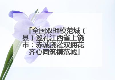 全国双拥模范城（县）巡礼江西省上饶市：赤诚浇灌双拥花 齐心同筑模范城