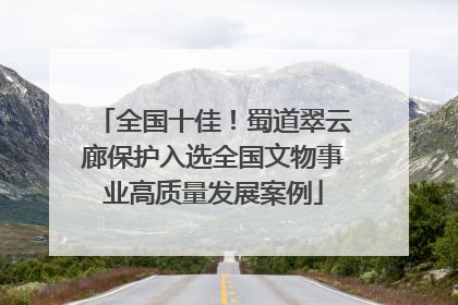 全国十佳！蜀道翠云廊保护入选全国文物事业高质量发展案例