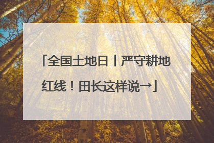 全国土地日丨严守耕地红线！田长这样说→
