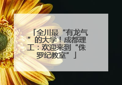全川最“有龙气”的大学！成都理工：欢迎来到“侏罗纪教室”