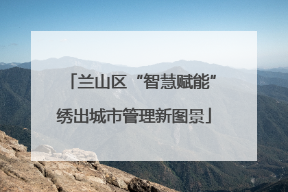 兰山区“智慧赋能”绣出城市管理新图景