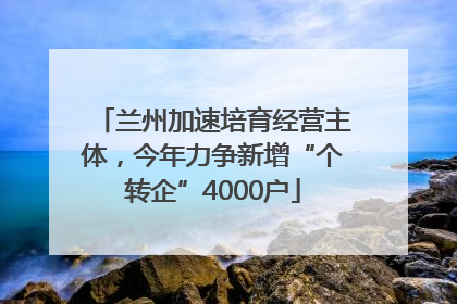兰州加速培育经营主体，今年力争新增“个转企”4000户