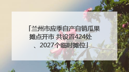 兰州市应季自产自销瓜果摊点开市 共设置424处、2027个临时摊位