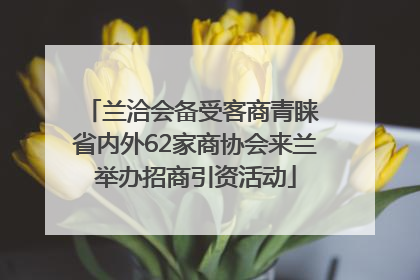 兰洽会备受客商青睐 省内外62家商协会来兰举办招商引资活动