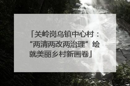 关岭岗乌镇中心村：“两清两改两治理”绘就美丽乡村新画卷