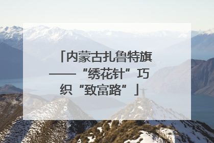 内蒙古扎鲁特旗——“绣花针”巧织“致富路”
