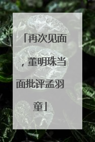 再次见面，董明珠当面批评孟羽童
