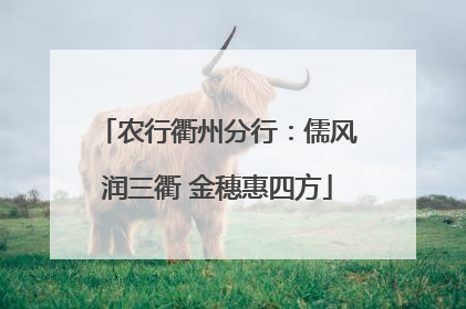 农行衢州分行：儒风润三衢 金穗惠四方