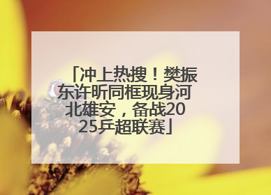 冲上热搜！樊振东许昕同框现身河北雄安，备战2025乒超联赛