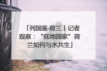列国鉴·荷兰丨记者观察：“低地国家”荷兰如何与水共生