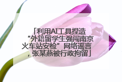 利用AI工具捏造 “外籍留学生强闯南京火车站安检”网络谣言，张某燕被行政拘留