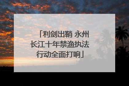 利剑出鞘 永州长江十年禁渔执法行动全面打响