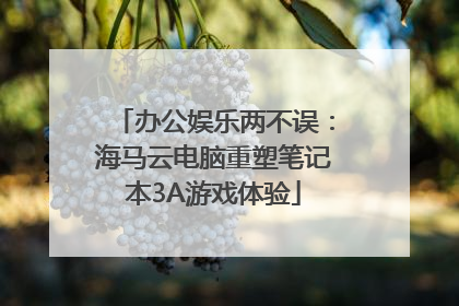 办公娱乐两不误：海马云电脑重塑笔记本3A游戏体验