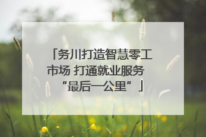 务川打造智慧零工市场 打通就业服务“最后一公里”
