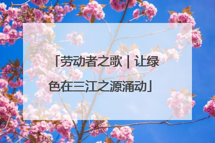 劳动者之歌｜让绿色在三江之源涌动