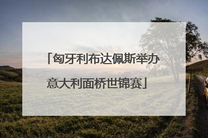匈牙利布达佩斯举办意大利面桥世锦赛