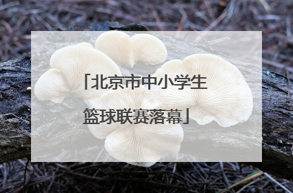 北京市中小学生篮球联赛落幕
