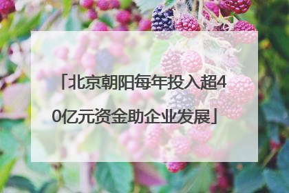 北京朝阳每年投入超40亿元资金助企业发展