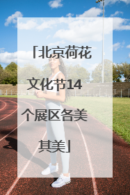 北京荷花文化节14个展区各美其美