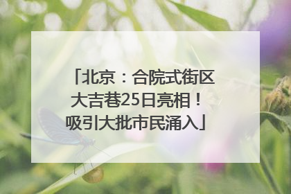北京：合院式街区大吉巷25日亮相！吸引大批市民涌入