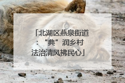 北湖区燕泉街道：“典”润乡村 法治清风拂民心