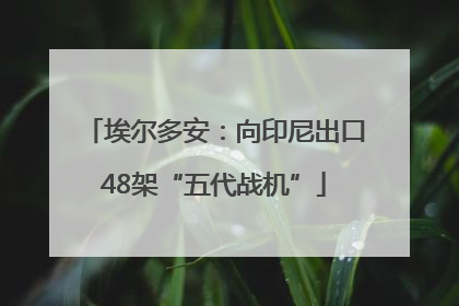 埃尔多安：向印尼出口48架“五代战机”
