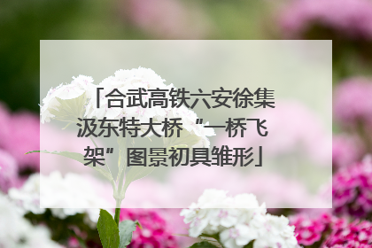 合武高铁六安徐集汲东特大桥“一桥飞架”图景初具雏形