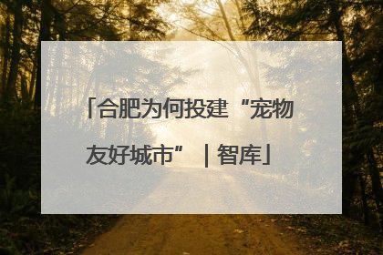 合肥为何投建“宠物友好城市”｜智库