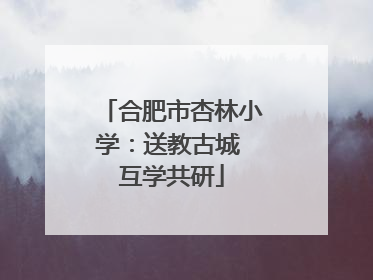 合肥市杏林小学：送教古城 互学共研