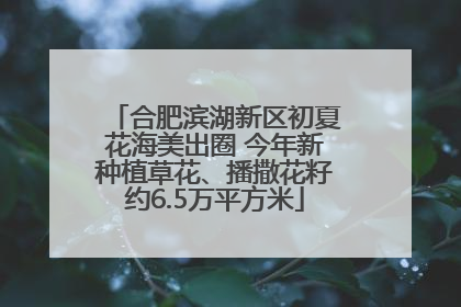 合肥滨湖新区初夏花海美出圈 今年新种植草花、播撒花籽约6.5万平方米