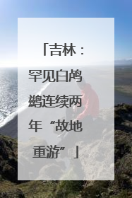 吉林：罕见白鸬鹚连续两年“故地重游”