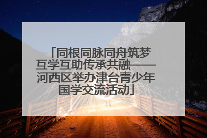 同根同脉同舟筑梦 互学互助传承共融——河西区举办津台青少年国学交流活动