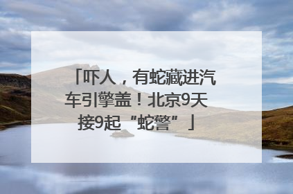 吓人，有蛇藏进汽车引擎盖！北京9天接9起“蛇警”