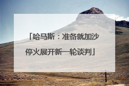 哈马斯：准备就加沙停火展开新一轮谈判