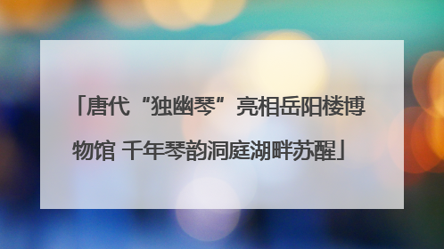 唐代“独幽琴”亮相岳阳楼博物馆 千年琴韵洞庭湖畔苏醒