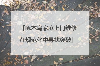啄木鸟家庭上门维修在规范化中寻找突破