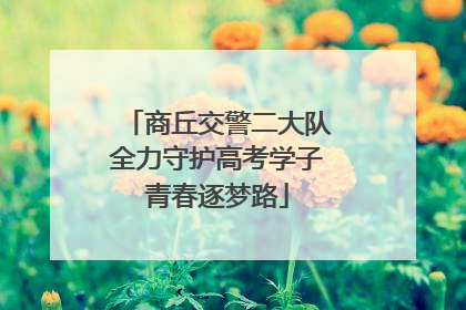 商丘交警二大队全力守护高考学子青春逐梦路