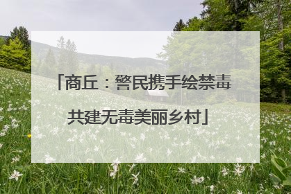 商丘：警民携手绘禁毒 共建无毒美丽乡村
