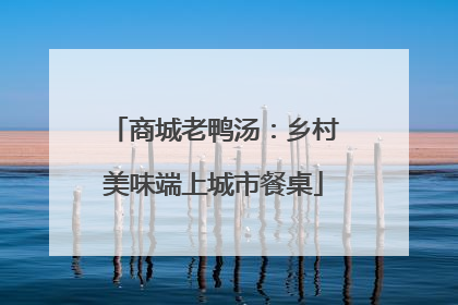商城老鸭汤：乡村美味端上城市餐桌