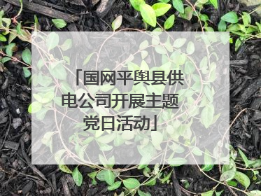 国网平舆县供电公司开展主题党日活动