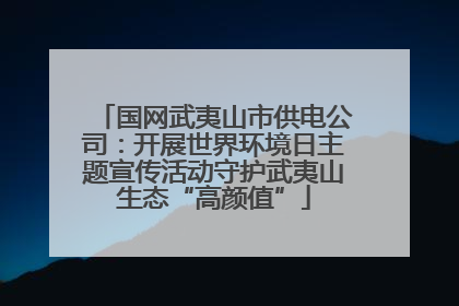 国网武夷山市供电公司：开展世界环境日主题宣传活动守护武夷山生态“高颜值”