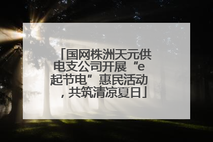 国网株洲天元供电支公司开展“e起节电”惠民活动，共筑清凉夏日