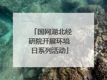 国网湖北经研院开展环境日系列活动
