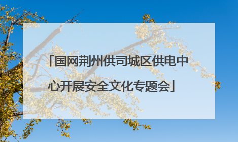 国网荆州供司城区供电中心开展安全文化专题会