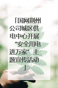 国网荆州公司城区供电中心开展“安全用电进万家”主题宣传活动