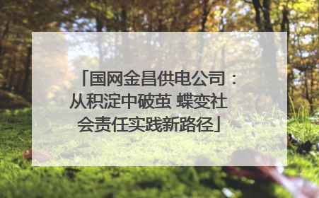 国网金昌供电公司：从积淀中破茧 蝶变社会责任实践新路径