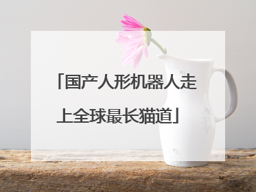国产人形机器人走上全球最长猫道