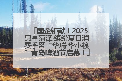 国企钜献！2025惠享菏泽·缤纷夏日消费季暨“华瑞·华小粮”青岛啤酒节启幕！