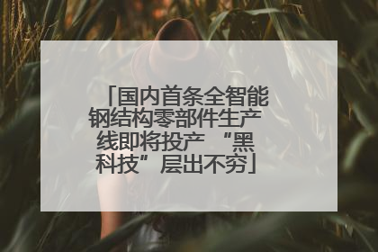 国内首条全智能钢结构零部件生产线即将投产 “黑科技”层出不穷